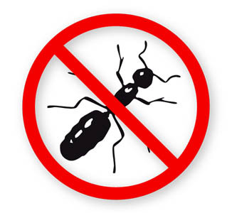 ENVIRA Ameisen-Gift ist ein hoch wirksames Ameisen Vergiftungs-Spray. Es wirkt auch gegen: Pharaoameise (Monomorium pharaonis lebt vorrangig in Gebäuden mit gleich bleibend hoher Temperatur und wird als Krankheitsüberträger bekämpft. Die braune Holzameise kann ihre Nester in morschem Holz anlegen. Dadurch schädigt sie intaktes Holz. Die schwarzgraue Wegameise verirrt sich oft in Häuser. Durch das Belaufen von Nahrung können Bakterien, Sporen eingeschleppt werden 