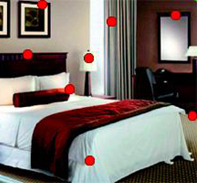 Das Bild zeigt exemplarisch häufige Verstecke der Bettwanzen in Wohnungen. Mit Anti-Bettwanzenspray erfolgeich Bettwanzenbefall verhindern 