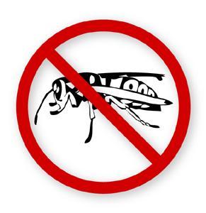 ENVIRA Wespenspray ist ein hoch wirksames Wespenschutzspray. Zwei Wespenarten stehen im besonders schlechten Ruf: Die Deutsche und die Gemeine Wespe. Sie können dem Menschen gegenüber zudringlich werden und sich auch über menschliche Nahrung hermachen. Dabei können sie unter Umständen sogar Bakterien wie Escherichia coli und Salmonellen auf menschliche Nahrung übertragen. Bei einem Wespenstich werden Alarmpheromone freigesetzt, die wiederum weitere Wespen anlocken und zum Wespenstich animieren. Das Gift der Wespe führt  bei einigen Menschen zu einer allergischen Reaktion 