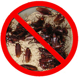 ENVIRA EFFECT Ungeziefermittel gegen Insekten, Ungeziefer bzw. Schadinsekten 